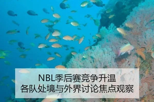 NBL季后赛竞争升温 各队处境与外界讨论焦点观察